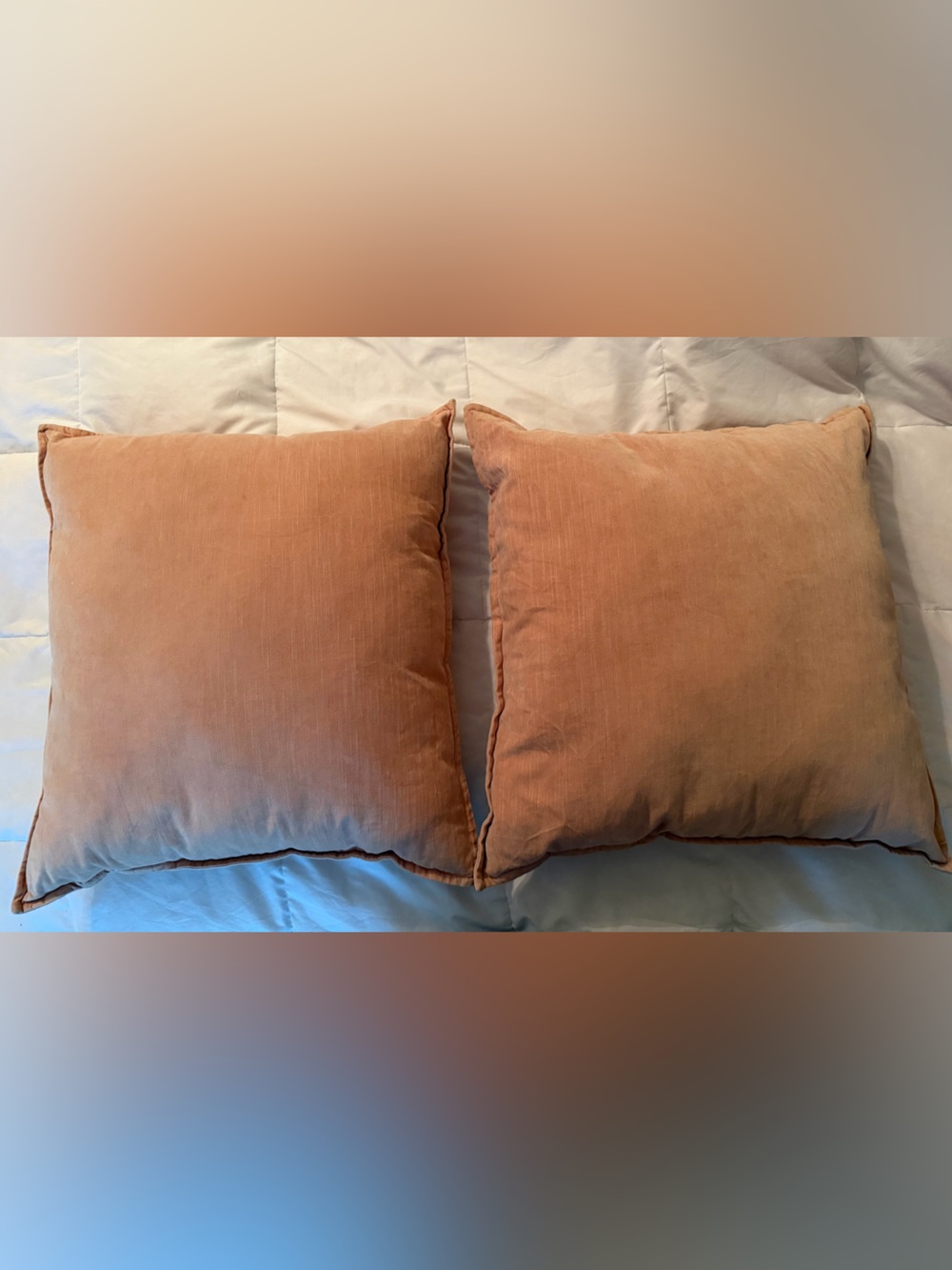 Threshold Peach Velvet Decorative Throw Pillows - Set of 2